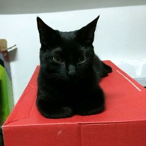 Meet your Posher, Alexandra